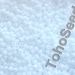 see more listings in the 11/0 TOHO Seed Beads section