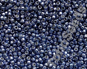 10g Toho Seeds Beads 15/0 Permanent Finish Galvanized Metallic Polaris TR-15-PF567 size 15 small mini rocailles 1mm metallic blue grey