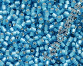 10g Toho Seed Beads 11/0 Silver lined Frosted Aquamarine Blue TR-11-23BF Toho Rocailles size 11 Matte Aqua Blue