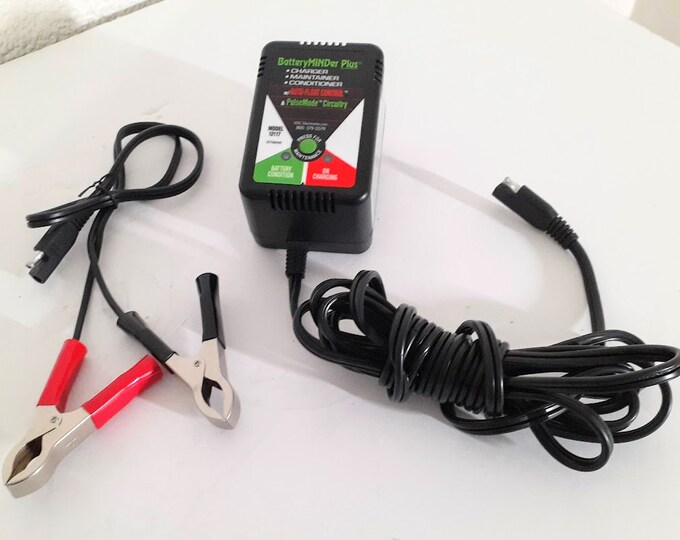Batteryminder Plus Battery Chargermaintainerconditioner 12V Model