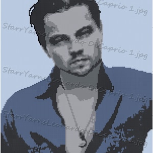 Leonardo DiCaprio Fan Art Crochet Picture Crochet Graph Pattern