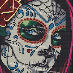 Sugar Skull Beauty Crochet Graph Pattern