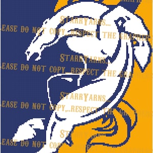 Support Your team Crochet Blanket Graph Pattern