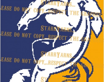 Support Your team Crochet Blanket Graph Pattern