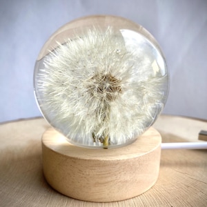Genuine dandelion resin sphere - nightlight with real dried fluffy dandelion inside. Home decor resin accent lamp. Dandelion paperweight