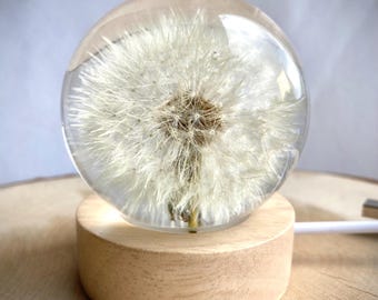 Dandelion Resin Sphere – Real Dried Flower Night Light, Desk Decor