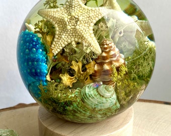 Large resin sphere nightlight with genuine dried sea shells and starfish. Home decor resin lamp. Nature lover gift ocean themed sphere