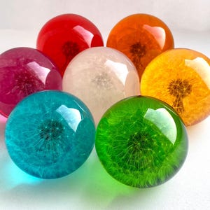 Puede incluir: Siete esferas de vidrio que contienen resina de diferentes colores y un diente de león dentro de cada esfera. Los colores son rojo, blanco, naranja, amarillo, azul y verde.