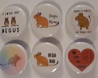 Degu Degus Badge Button Pin Set of 6