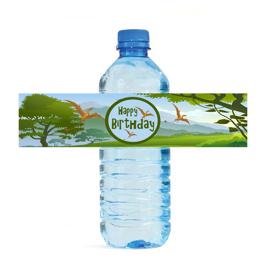 Botella de agua etiquetas dinosaurio para imprimir ...