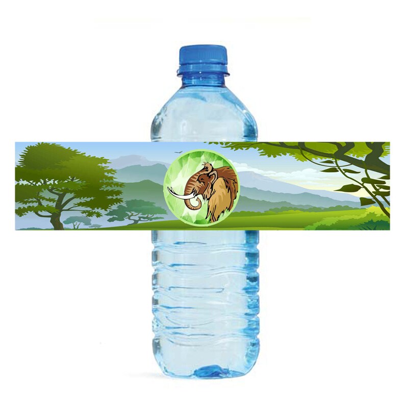 dinosaur water bottle labels birthday printable dinosaur