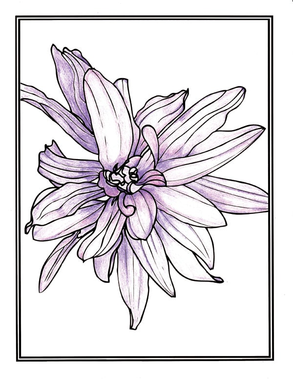 Coloring Book for Grownups 32 Designs Blooms Volume 2 | Etsy