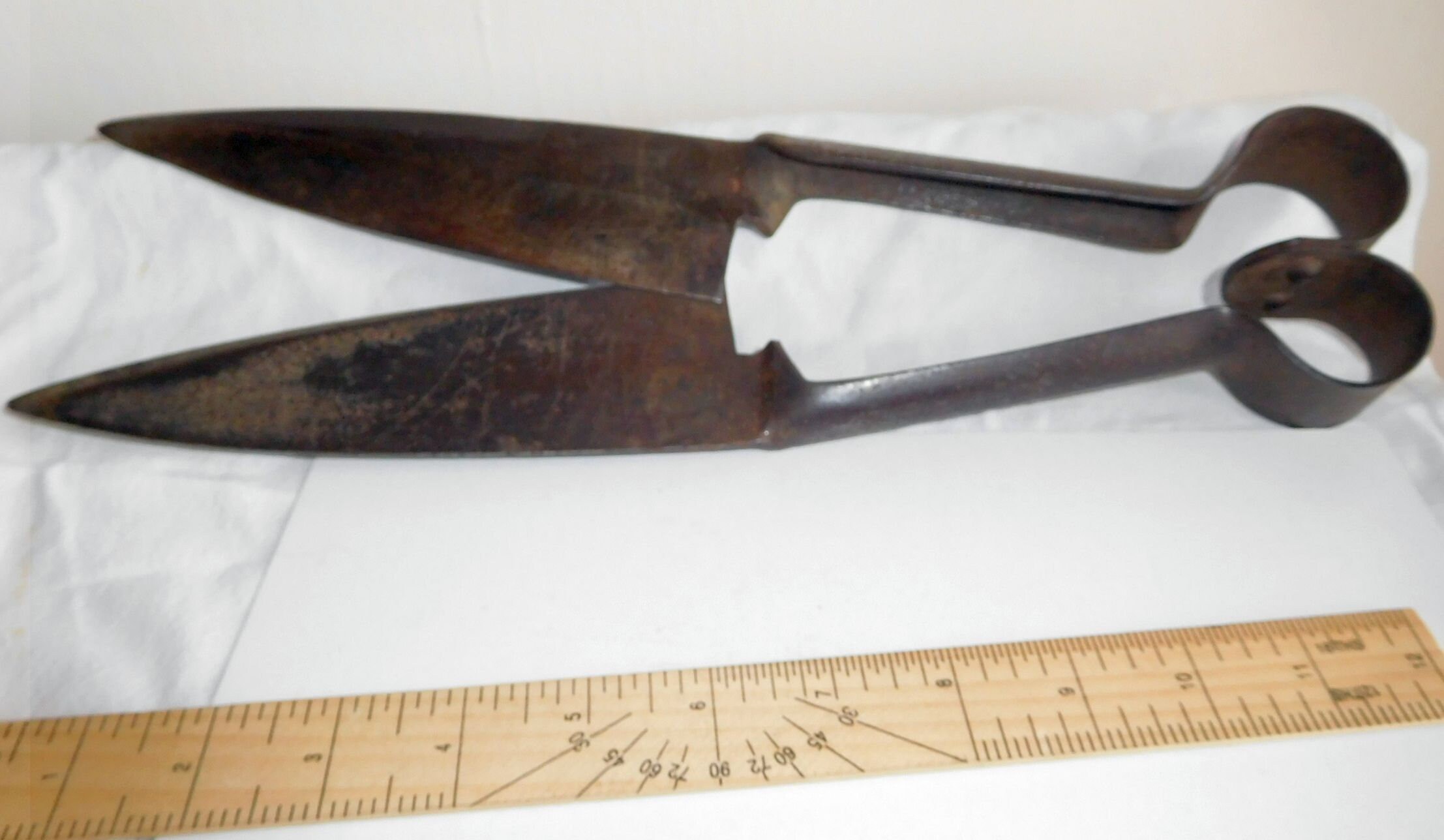 Lister Sheep Shears for sale Only 4 left at 60