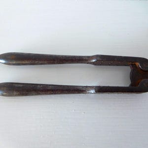 Antique Small Nutcracker lobster cracker in solid steel. Reversible very cute