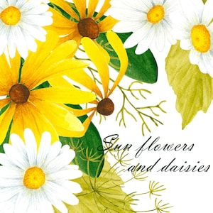 Black-eyed Susan flower clipart, Daisy clipart, Flower illustration, Watercolor flowers, Watercolor clipart, Yellow and white flower,