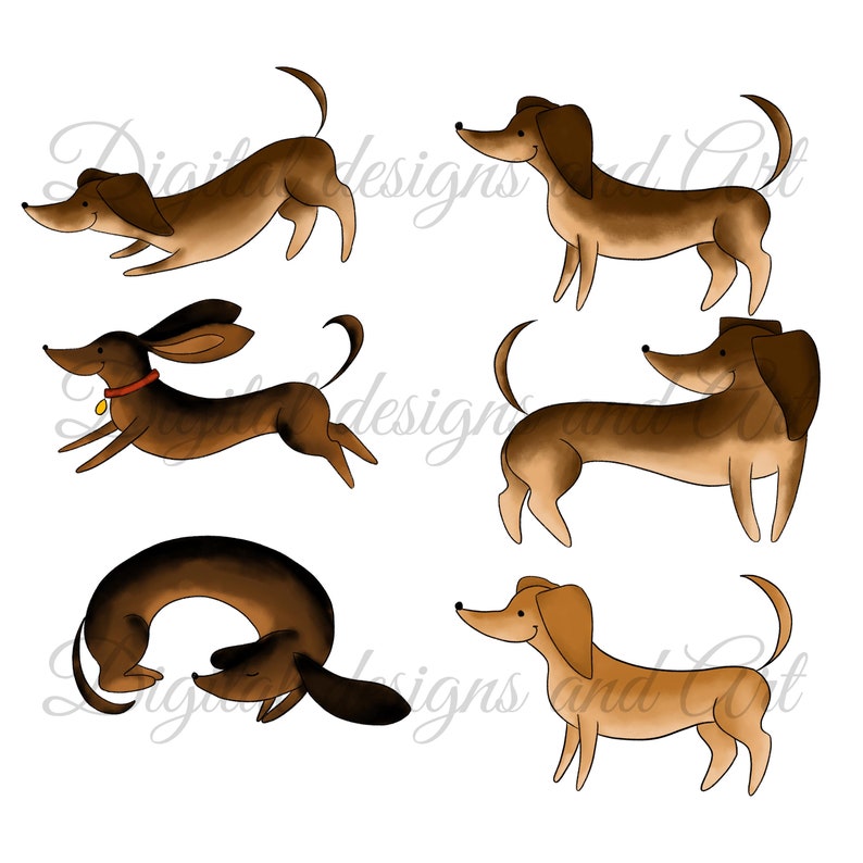 Commercial use cute dog clipart wiener dog clipart Planner supplies Dachshund Clipart watercolor clipart Puppy clipart Paper supplies
