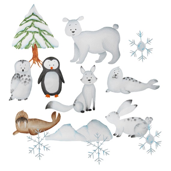 Aquarell Polartiere Clipart Eisbar Clipart Polarbar Clipart Etsy