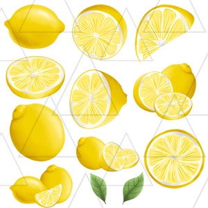 Lemon Clipart Lemon Illustration Citrus Clipart Watercolor - Etsy