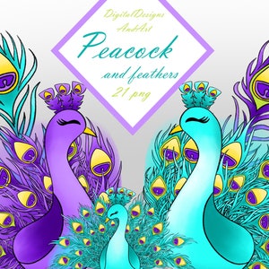 Peacock clipart, peacock illustration, Peacock feathers, Bird clipart, feather clipart, watercolor clipart, Hand painted clipart