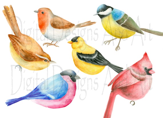 Bird clipart, Watercolor birds clip art, Hand painted birds illustration, Goldfinch illustration, Robin bird clipart, Cardinal clipart