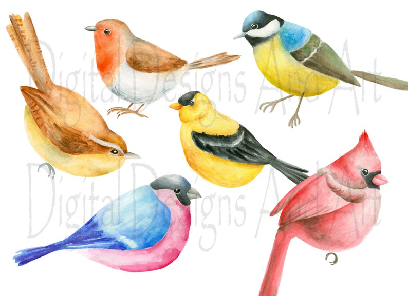 Goldfinch illustration Robin bird clipart Bird clipart Watercolor birds clip art Cardinal clipart Hand painted birds illustration