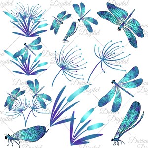 K&ouml;nnte beinhalten: Ein Set digitaler Illustrationen mit blauen und violetten Libellen, Rohrkolben und L&ouml;wenzahnartigen Blumen. Die Illustrationen sind im verspielten Stil gehalten und eignen sich perfekt f&uuml;r Scrapbooking, Kartenherstellung oder andere Bastelprojekte.