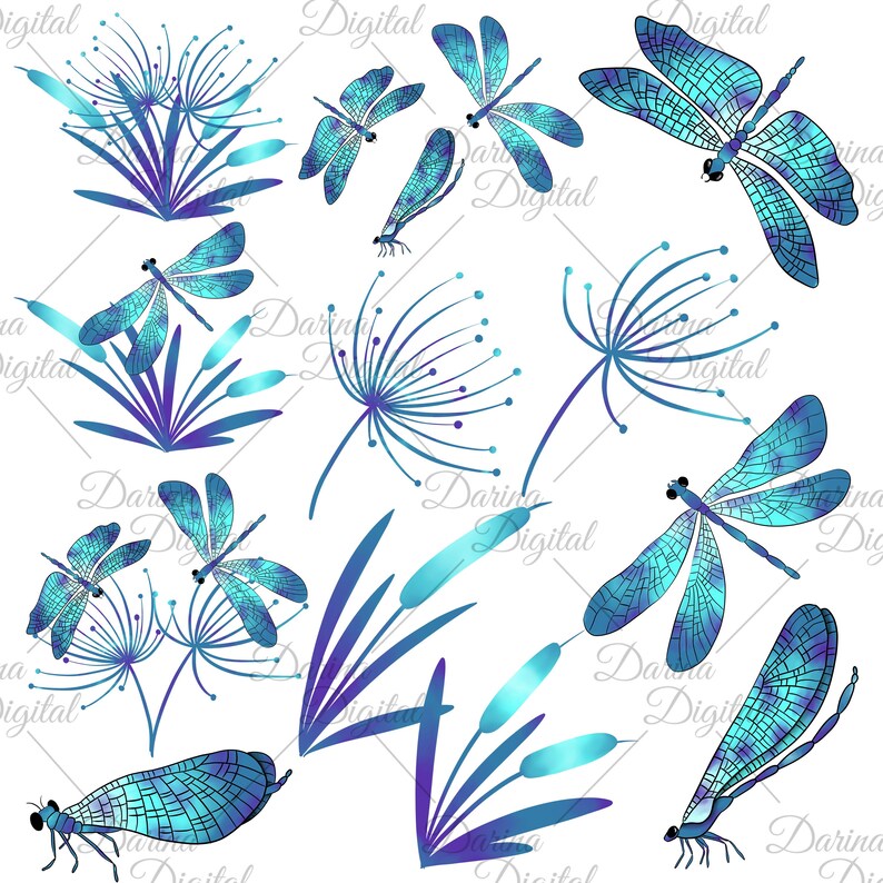 K&ouml;nnte beinhalten: Ein Set digitaler Illustrationen mit blauen und violetten Libellen, Rohrkolben und L&ouml;wenzahnartigen Blumen. Die Illustrationen sind im verspielten Stil gehalten und eignen sich perfekt f&uuml;r Scrapbooking, Kartenherstellung oder andere Bastelprojekte.