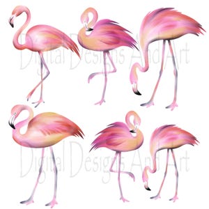 Flamingo clipart, Watercolor flamingo clip art, Watercolor clipart, Bird clipart, Tropical bird clipart, Pink flamingo illustration image 2