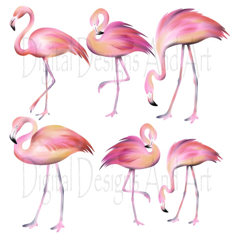 Flamingo clipart, Watercolor flamingo clip art, Watercolor clipart, Bird clipart, Tropical bird clipart, Pink flamingo illustration image 2