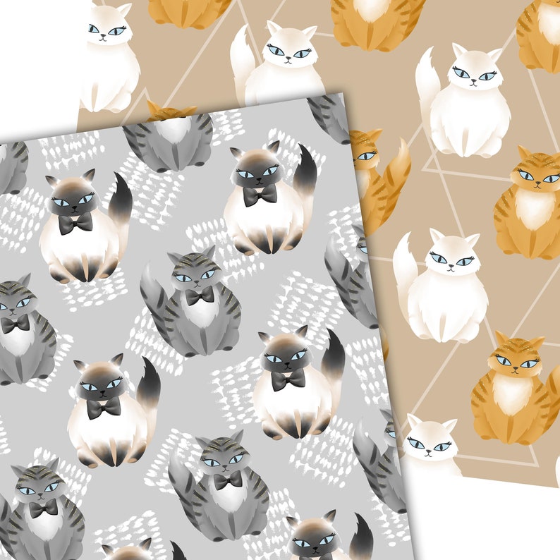 Бумаг кэт. Бумажная кошка с одеждой. Основа для бумажных кошек. Paper Cat с одеждой. Идеи из бумаги кет неб.