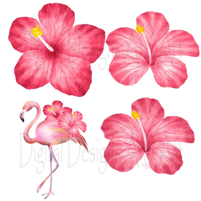 Flamingo clipart, Watercolor flamingo clip art, Watercolor clipart, Bird clipart, Tropical bird clipart, Pink flamingo illustration image 6