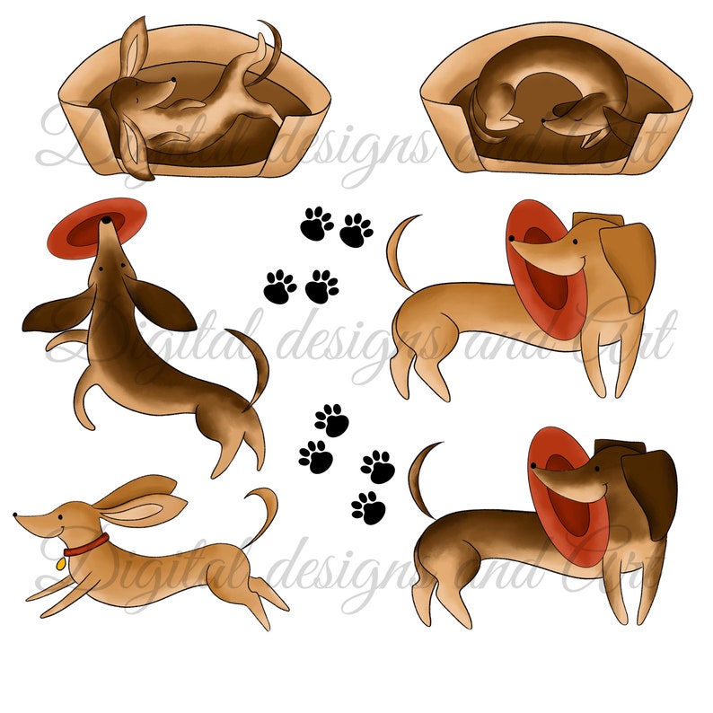 Commercial use cute dog clipart wiener dog clipart Planner supplies Dachshund Clipart watercolor clipart Puppy clipart Paper supplies