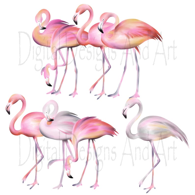 Flamingo clipart, Watercolor flamingo clip art, Watercolor clipart, Bird clipart, Tropical bird clipart, Pink flamingo illustration image 3