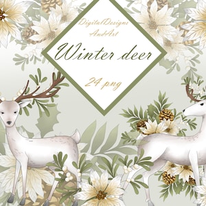 Deer clipart, Winter clipart, Watercolor deer illustration, Christmas deer, Christmas clipart, winter flowers, planner sticker clipart
