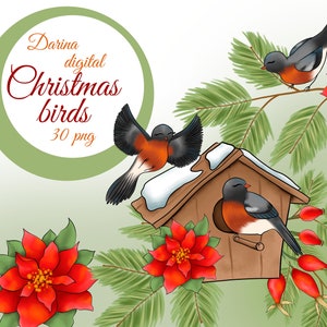 Vogel Clipart, Weihnachten Clipart, Winter Clipart, Weihnachtslaternen, Ponsettias Blume, Weihnachtsblumen, Winter Baum, Aquarell Clipart