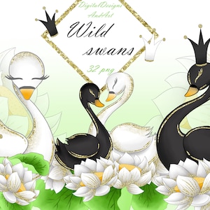 Wilde zwaan clipart, zwaan illustratie, zwarte zwaan clipart, lotus clipart, bloem clipart, glitter clipart, vogel illustratie, planner clipart