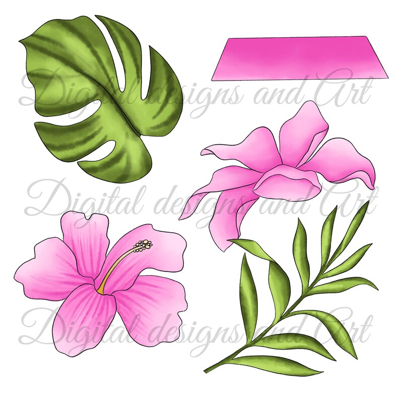 Hippo clipart, Cute hippo, Beach clipart, Funny beach clipart, Watercolor hippo, hippopotamus clipart, Summer clipart, Ball clipart image 6