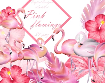 Flamingo clipart, Watercolor flamingo clip art, Watercolor clipart, Bird clipart, Tropical bird clipart, Pink flamingo illustration