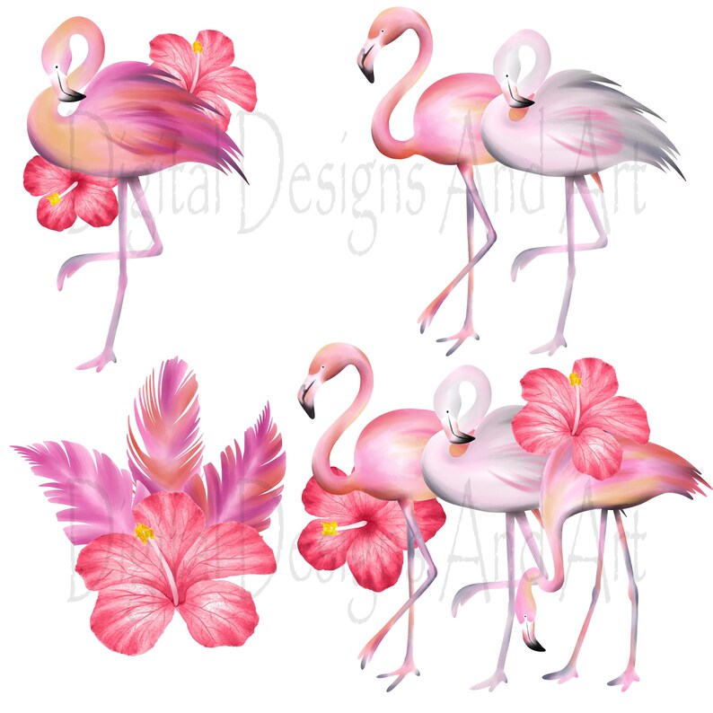 Flamingo clipart, Watercolor flamingo clip art, Watercolor clipart, Bird clipart, Tropical bird clipart, Pink flamingo illustration image 4