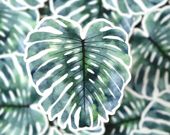 Blue Monstera Sticker - Botanical Car Window Decal - Flower Lap Top Sticker - Kids Water Bottle Decal - Vinyl Sticker Beach - PCB Sticker