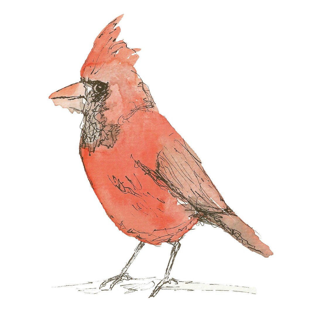 Cardinal Bird Ink & Watercolor Print - Etsy Österreich