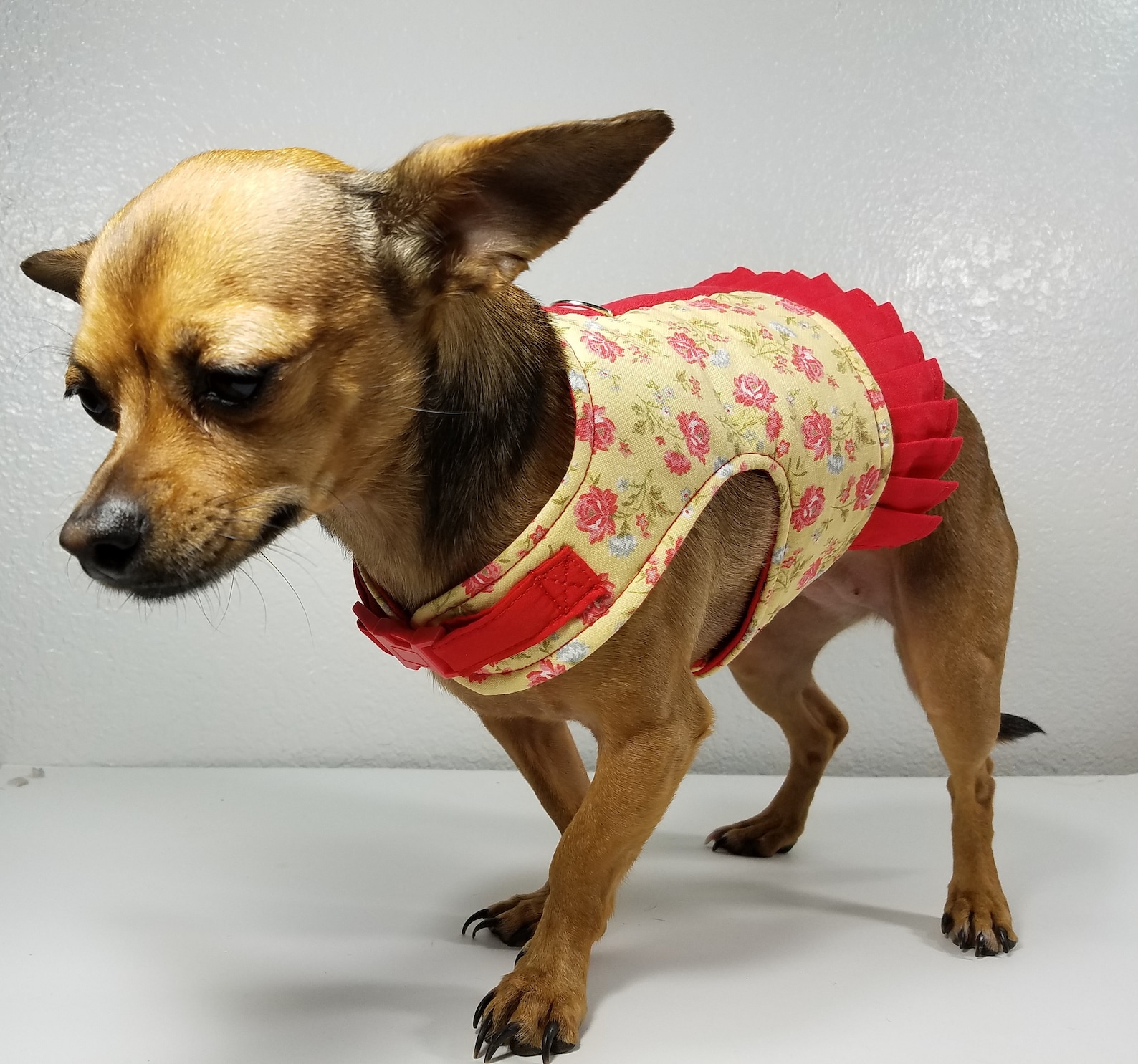 Dog Harness With Buckle Tutorial & Pattern ALL SIZES Bundle Etsy