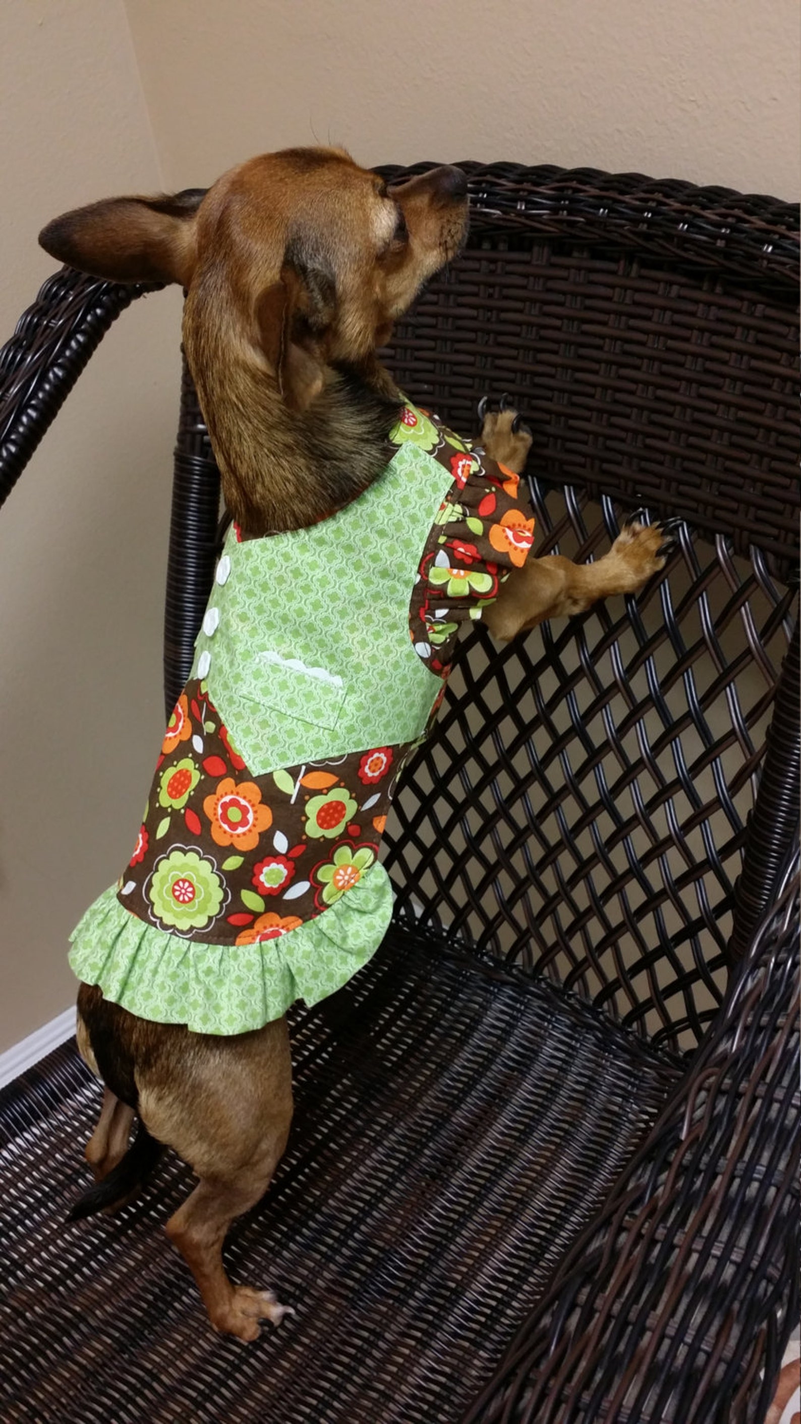 Dog Dress With Vest Pattern XXSMALL & XSMALL Dog Clothes Etsy