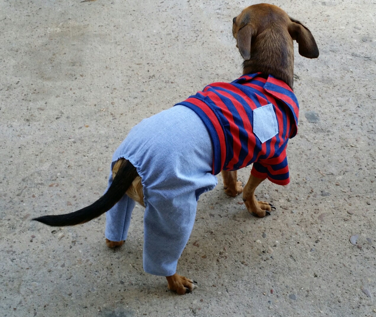 Dog Polo Shirt Romper Pattern -LARGE & XLARGE- Dog Pants Pattern, Dog ...