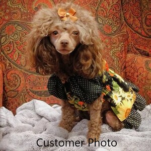 Peasant Dog Dress Sewing Pattern PDF, Designer Dog Clothes, Small Pet Dog and Cat Clothes Patterns, Pet Costume, Dog Shirt XXLARGE image 8