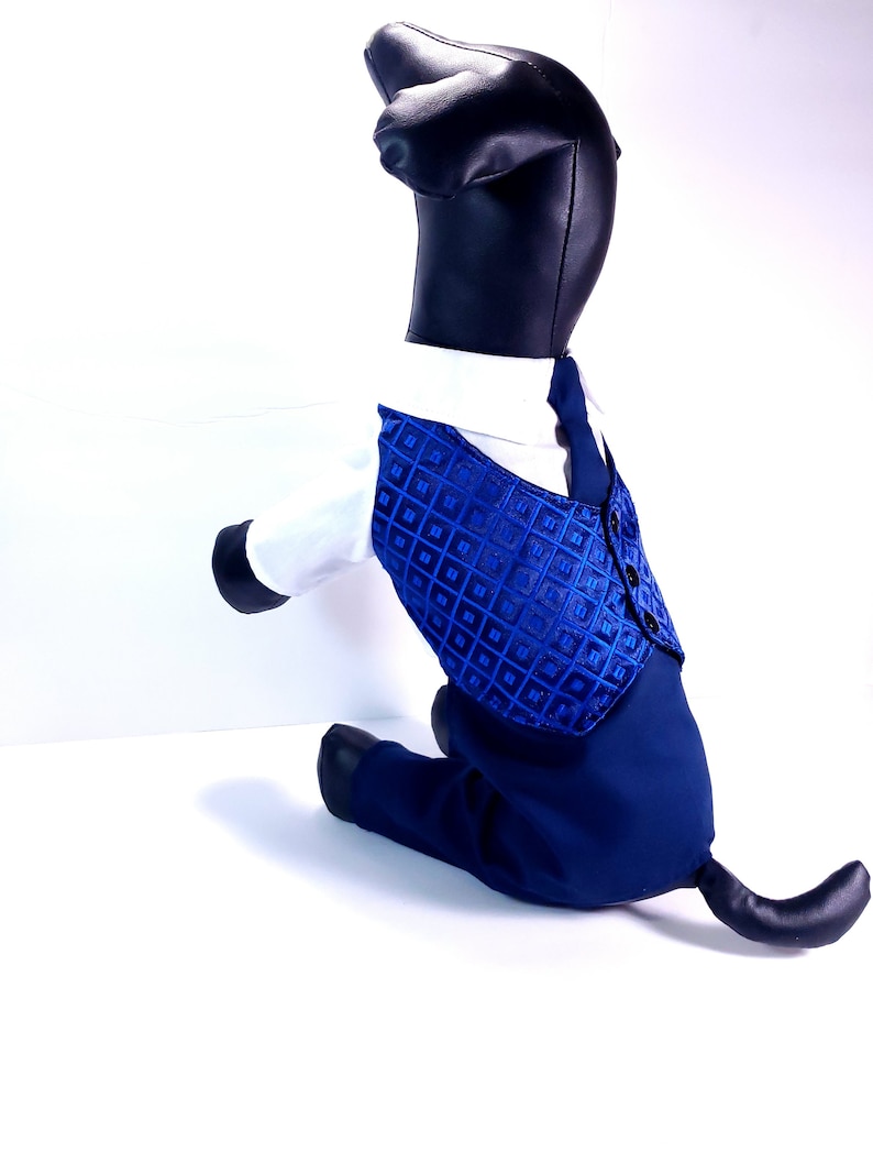 Vest Suit Dog Pattern Dog Clothes Sewing Pattern Pdfsewing Etsy