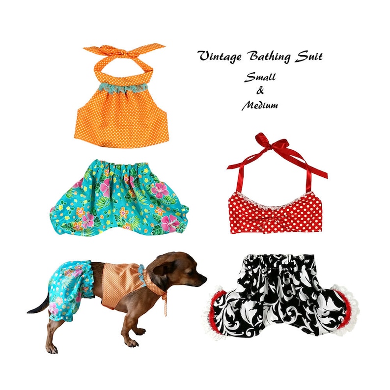 small dog bathing suits