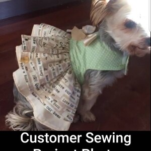 May include: A small dog dressed in a green polka-dot shirt and a skirt made from fabric printed with text. The skirt has a ruffled design and is adorned with a bow. The text on the skirt includes phrases like "Make Honey" and "Save our Bees".
