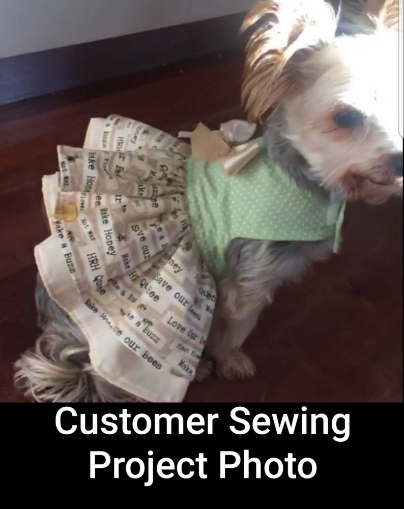 May include: A small dog dressed in a green polka-dot shirt and a skirt made from fabric printed with text. The skirt has a ruffled design and is adorned with a bow. The text on the skirt includes phrases like "Make Honey" and "Save our Bees".