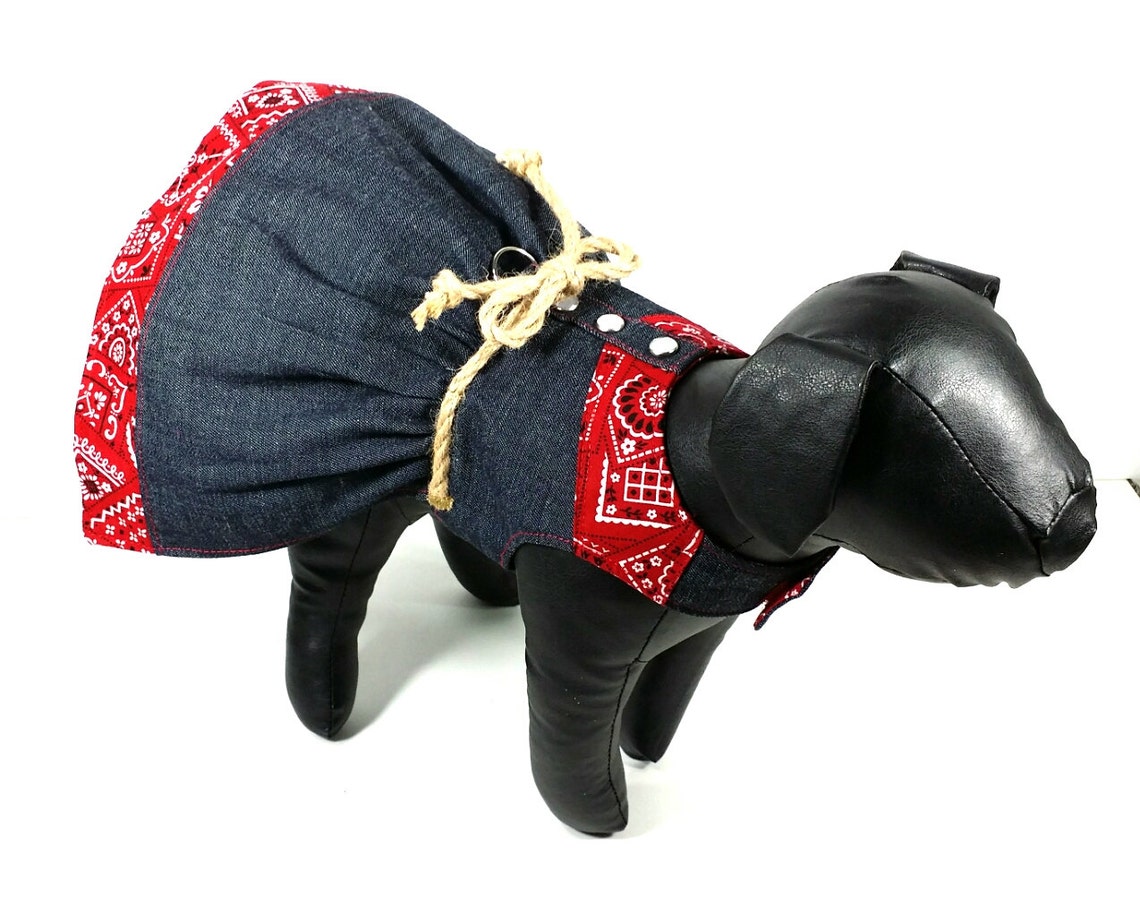 Rodeo Dog Dress Pattern XXSMALL & XSMALL Dog Clothes Sewing Etsy